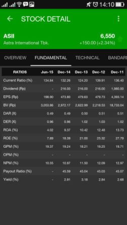 Layar data fundamental pada aplikasi Data Saham Indonesia